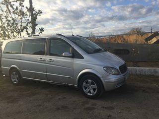 Mercedes Viano foto 4