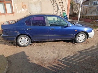 Nissan Primera foto 4