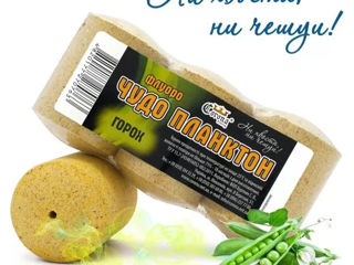 Технопланктон Флуоро "Чудо Планктон ванилин  клубника анасон топлёное молоко чеснок корица горох foto 8