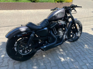 Harley - Davidson IRON 883 foto 4