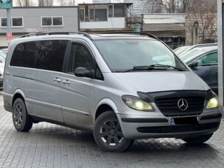 Mercedes Viano foto 3