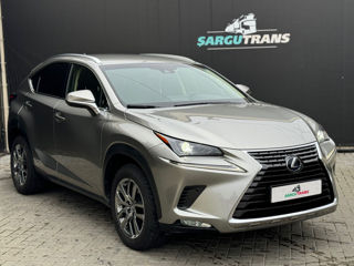 Lexus NX Series