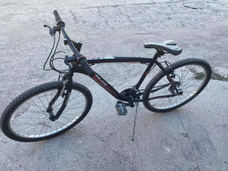 Bicicleta foto 7