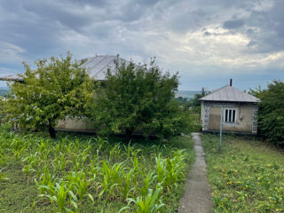 Se vinde casa S. Pelenia raionul Drochia 12ari foto 3