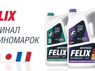 Antifreeze Felix, Полярник, Дзержинский de la dealer-ul oficial. foto 2