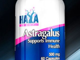 Astragalus  экстракт астрагала