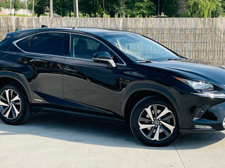 Lexus NX Series foto 3