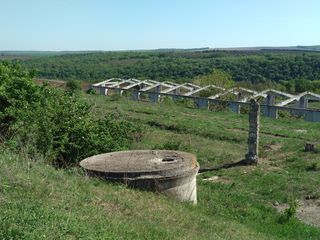 Ферма для животноводства в Шолданештском р-не, на берегу Днестра. foto 6