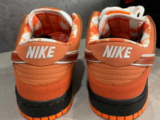 Nike SB Dunk Low Orange Lobster Unisex foto 9