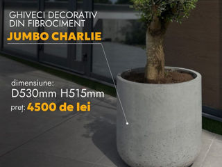 Ghiveci jumbo charlie / jardinieră / горшок / plante mari foto 4