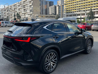 Lexus NX Series foto 6