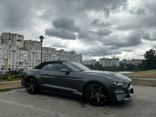 Ford Mustang foto 5