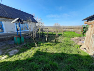 Casa de locui sau de vacanta linga Nistru, satul Pirita vizavi de Vadul Lui Voda foto 5