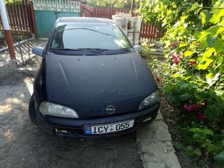 Opel Tigra foto 2