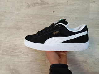 Puma Suede pe loc marimi din Anglia foto 2