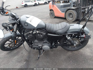 Harley - Davidson XL883 N foto 6