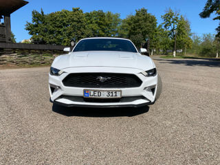 Ford Mustang foto 2