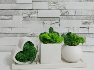 Obiecte de decor pentru casa si birou.Ghivece,vaze,suvenire.Topiary.Горшки,кашпо и сувениры. foto 9
