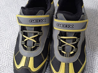 Adidași GEOX / Кроссовки  GEOX foto 1