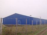 Cereale Hangar ангар, зернохранилище, angare, depozit pentru ceriale. foto 8