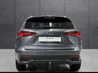 Lexus NX Series foto 8