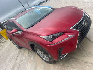 Lexus NX Series