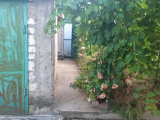 De vinzare casa - raionul Dubasari, satul Pirita foto 7