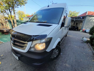 Mercedes Sprinter 316 foto 12