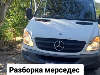 Sprinter дельфин мерседес разборка foto 9