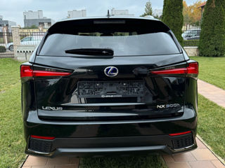 Lexus NX Series foto 5