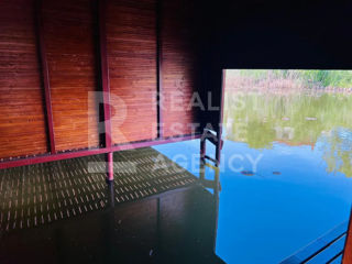 Casa cu piscina si iesire la lacul Snagov, 4 camere foto 6