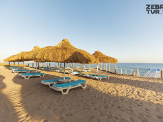 Egipt, Sharm El Sheikh - Sunrise Remal Beach 5* foto 5