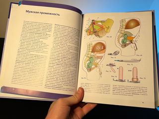 Кападжи Позвоночник foto 3