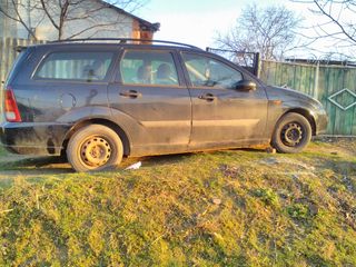 Ford Focus foto 4