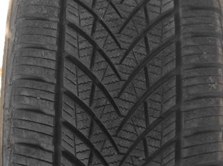 205/55 R19