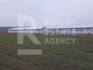 Vânzare, teren agricol, fermă, 10,48 ha, comuna Petreni, Drochia foto 3