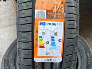 205/55 R15 Tracmax Xprivilo TX1/ Доставка, livrare toata Moldova