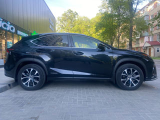 Lexus NX Series