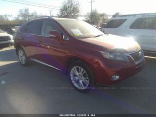 Lexus RX Series foto 2