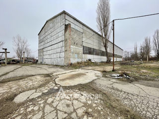 Complex Industrial, 7600m2! Botanica, str. Muncești! foto 3