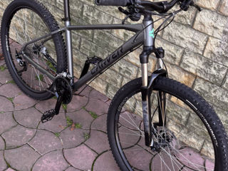 Bulls Carbon roti 29 Pret 900euro!!! foto 5