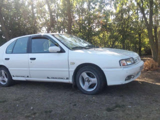 Nissan Primera foto 3