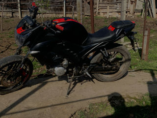 Viper R1 NK foto 5