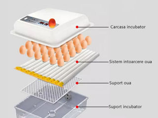 Incubator pentru oua Demetra DM-120 / Livrare gratuita / Achitarea in 4 Rate foto 3