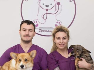 Servicii veterinare,  stationar pentru animale foto 6