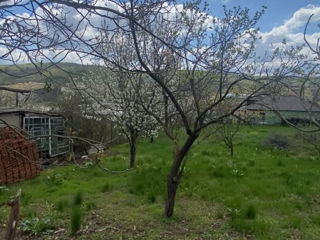 Se vinde lot de teren in centrul comunei Suruceni foto 2