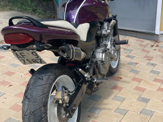 Honda Hornet CB600F foto 4