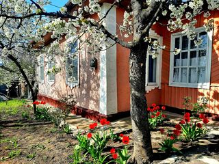 Vind casa in orașul Călărași foto 1