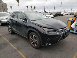 Lexus NX Series