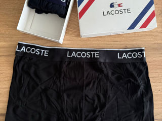 Lacoste XL